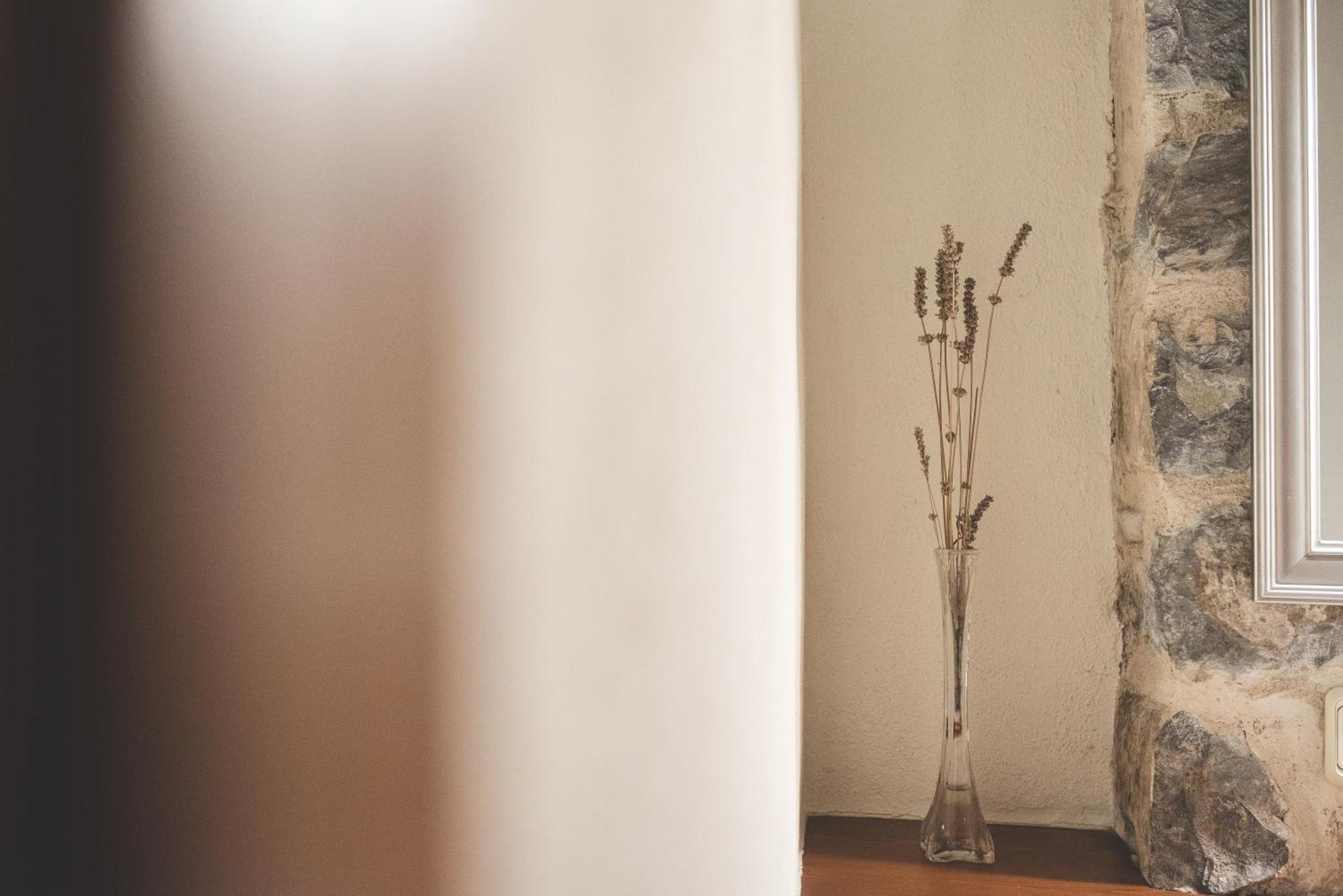 Tetxe B&B Roncal Ngoại thất bức ảnh